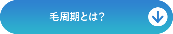 毛周期とは？