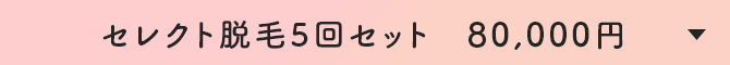 セレクト脱毛5回セット 80,000円